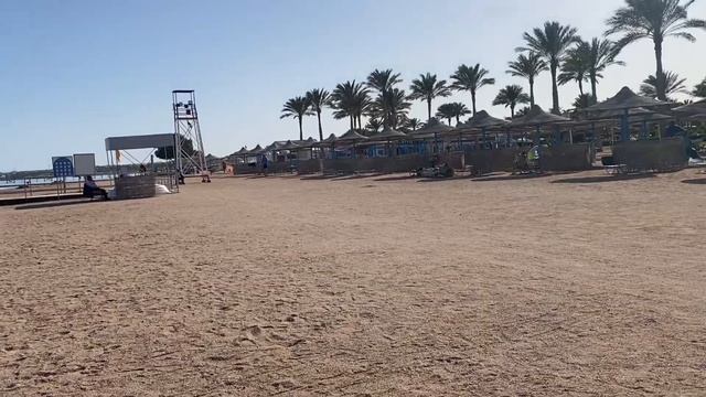 Обзор отеля Sea beach Aqua park resort 4* в Шарм-эль-Шейхе. 07.03.2024