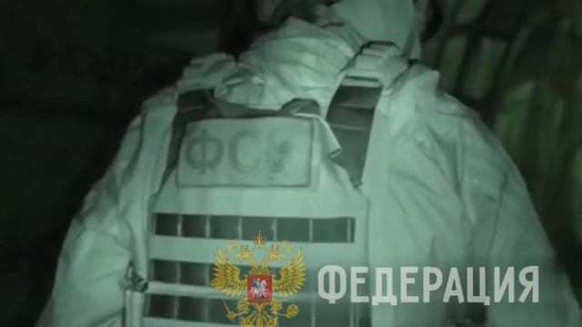 ФСБ перекрыла канал поставки кокаина в Европу через Россию
