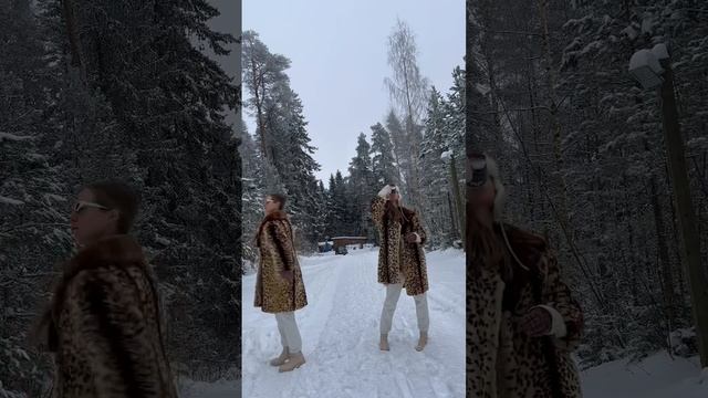 Кадр в кадре, дублирование объекта