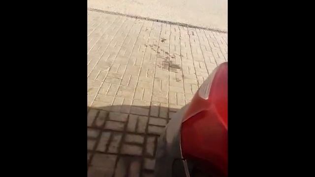 Проверка АЗС Агрыз