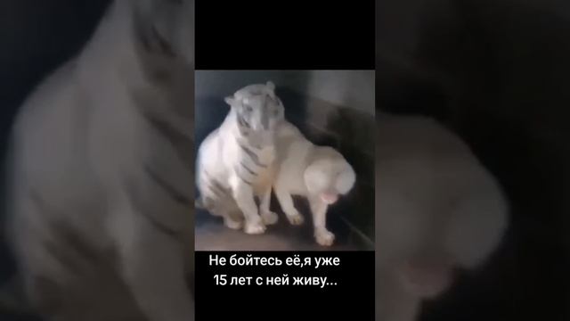 Эти сложные семейные отношения )