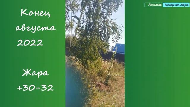 Окунемся вместе с нами в сочный кукурузный август? Рязань с Анжелиной.