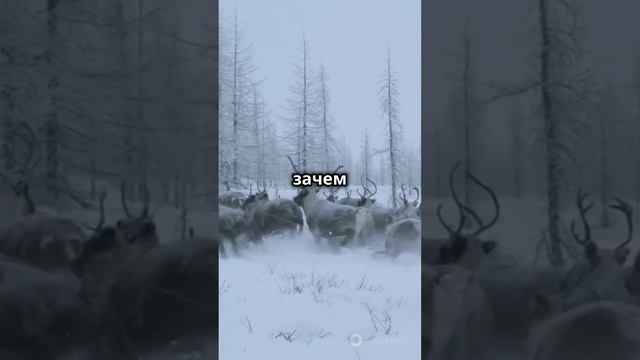 анекдот😂joke😂