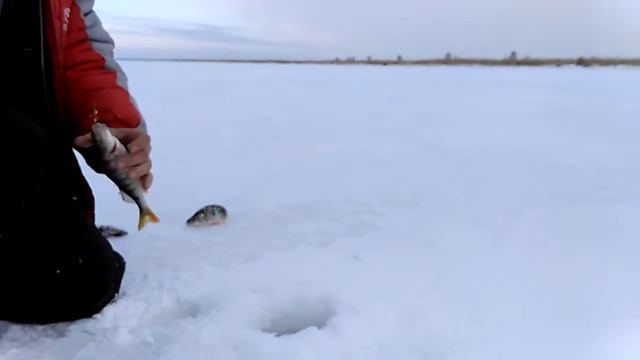 Рыбалка на балансир Айдыкуль