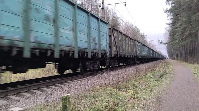 Электровоз ВЛ10У с грузовым поездом на перегоне Заневский пост 1-Ржевка