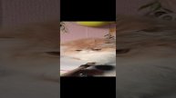 VID_20241027_165241