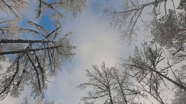 На велосипеде в -13