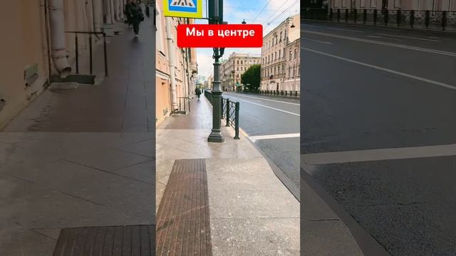 Суворовский проспект #чихуахуа #собака #собакаулыбака #прикол #приколысживотными #cat #смешные # топ