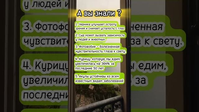 А вы знали? #интересныефакты