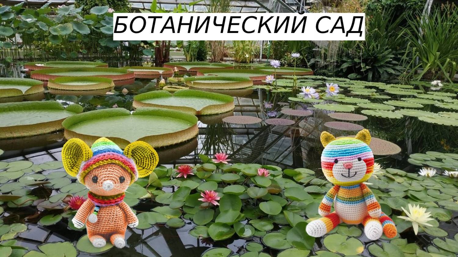 Видеопрогулка по Ботаническому саду