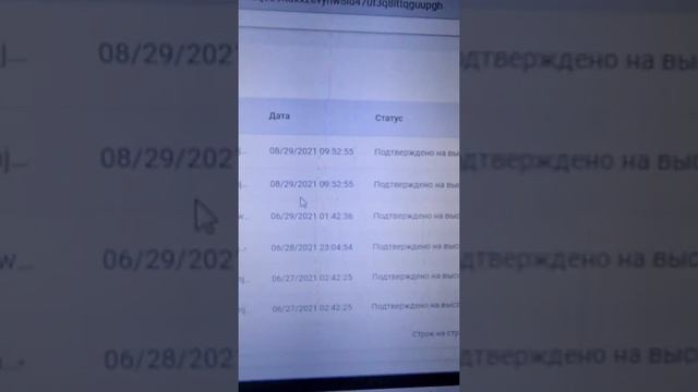 888 плотов Chia, приносят удачу!?