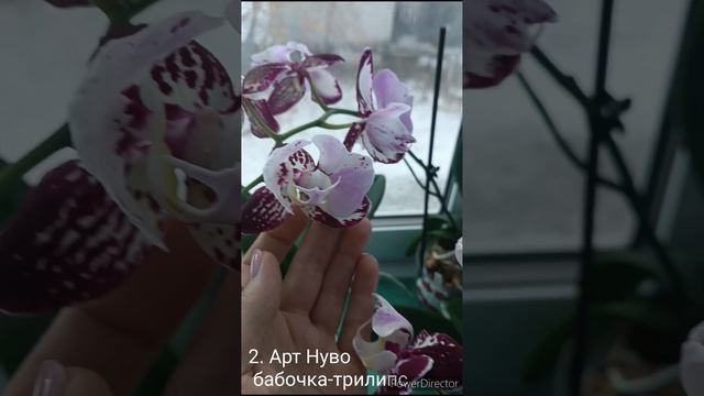 1000178425.mp4