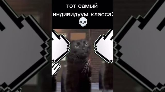 тип на ленейке