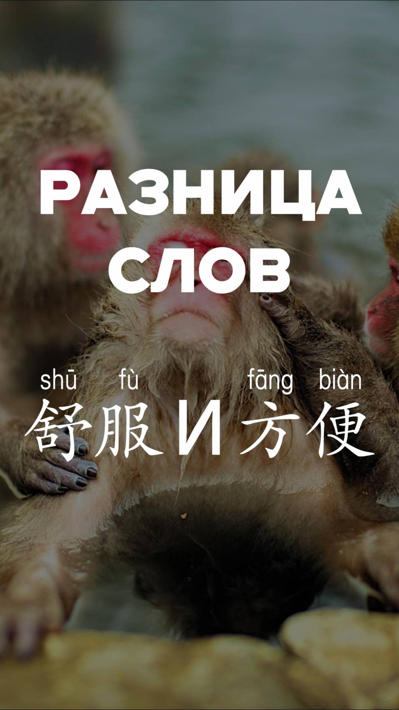 Разница слов 舒服 и 方便