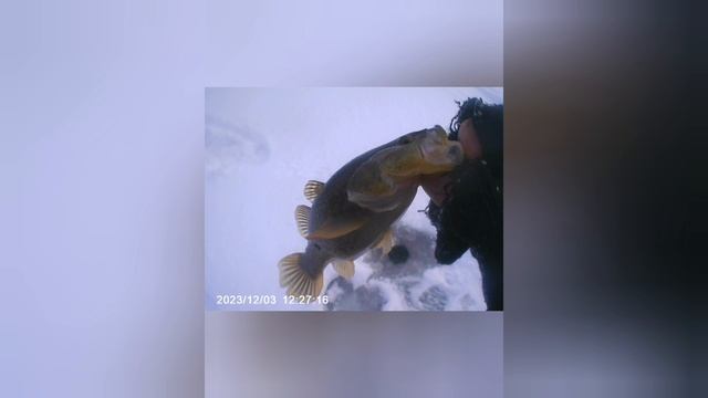 Подписывайтесь на канал👍🎣