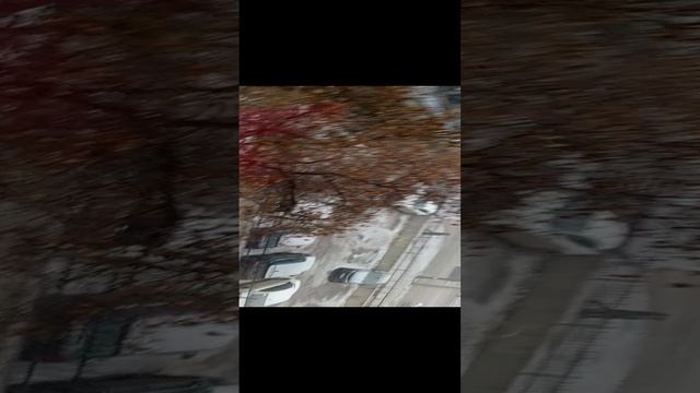 1000028964.mp4