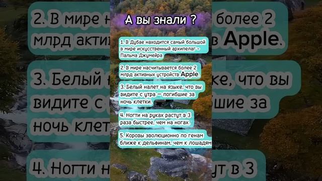 А вы знали? #интересныефакты