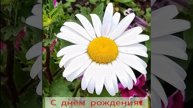 С днём рождения!.mp4