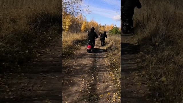 Электробайки Citycoco, осенние покатушки