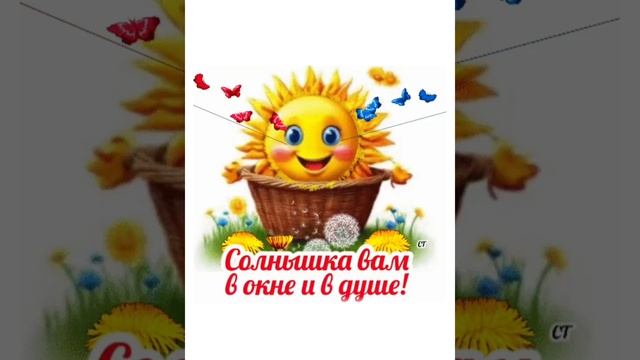 солнышка вам в окне и в душе