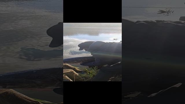 1000006662.mp4