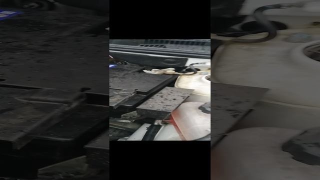 ГОД  ЭСПЛУАТАЦИИ ГРАНТА