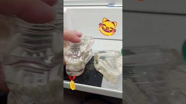 Как я стала знатным кошководом #овполякова