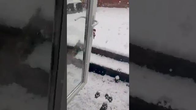 О как быстро