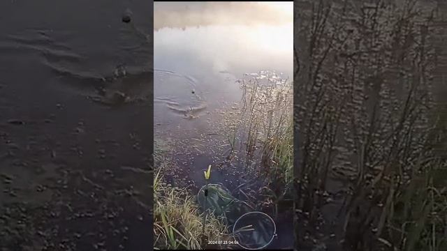 1000025649.mp4