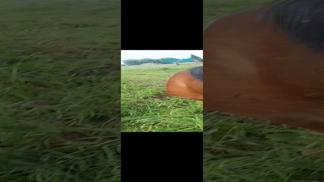 1000025011.mp4