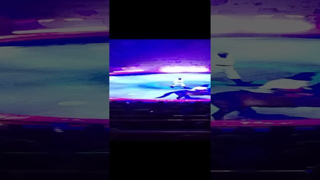 VID_20241108_212746.mp4
