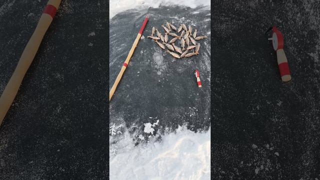 Лёд лёг до посёлка🎣