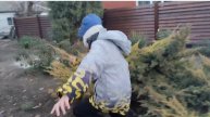 4 слитый кадр подмышечника 2