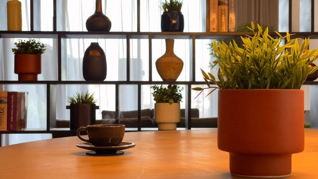 12734675-hd_1920_1080_30fps