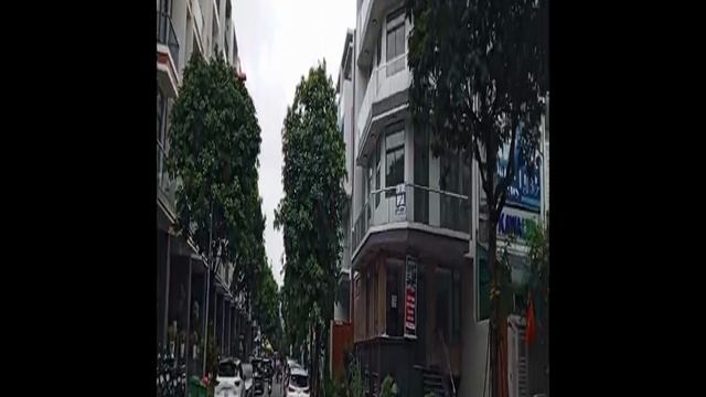 Новые, крутые районы вечнозеленого города.