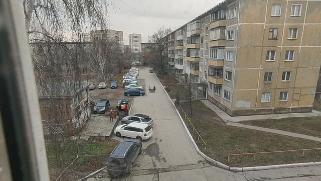 VID_20241104_114022