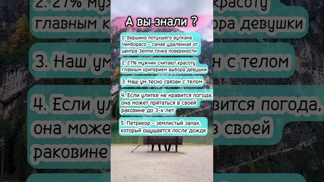 А вы знали? #интересныефакты