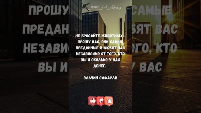 Афоризмы Великих Мыслителей.