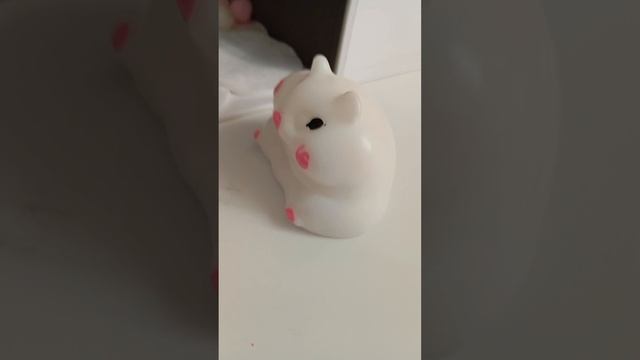 1000011131.mp4