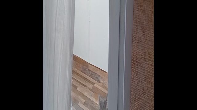 Пяти минут не прошла как Филя быстрей домой бежать