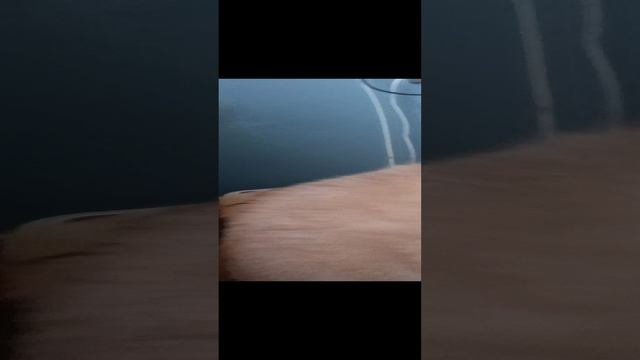 кот персик 2 часть