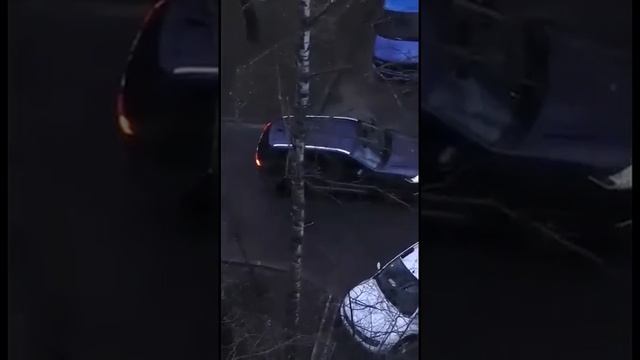 STOPHAM_ZhENSCHINA_GODA-world79.spcs.bio