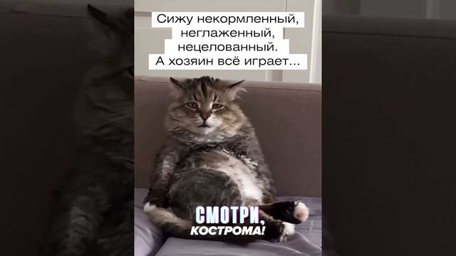 не обижай его 😡.mp4