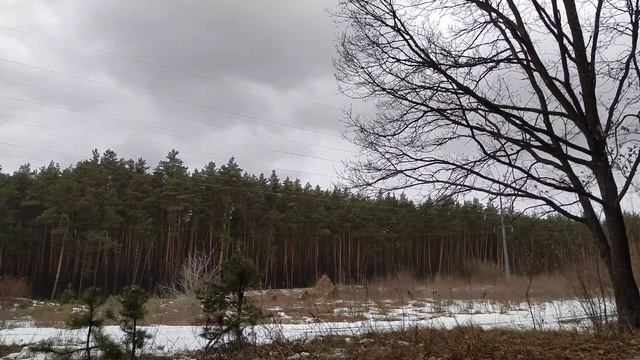 23 марта 2021 год.