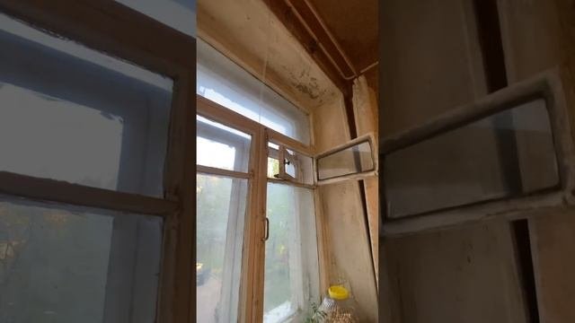 Новоостаповская дом 6