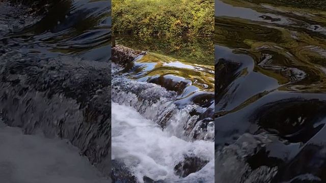 Красота Чёрной речки