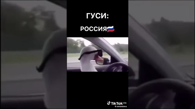 кто за США?