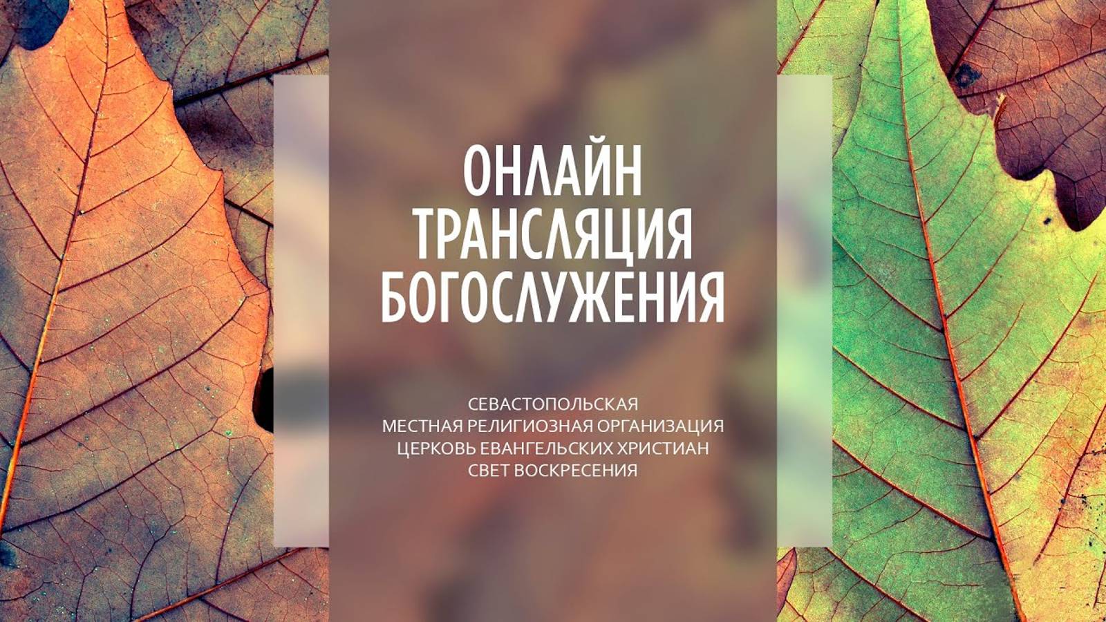 10.11.2024 Церковь Свет Воскресения | Онлайн трансляция богослужения