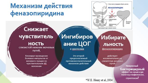 Давидов М.И. Обезболивающий и антидизурический эффекты Уриналгина Ф при остром неосложненном цистите