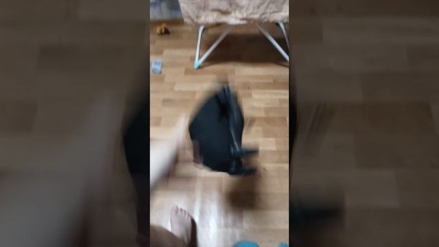scene_output.mp4